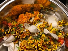 Load image into Gallery viewer, Homemade Agua Florida