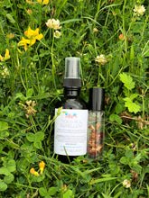 Load image into Gallery viewer, Pet Safe Tick & Bug Repellent