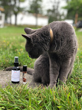 Load image into Gallery viewer, Pet Safe Tick & Bug Repellent