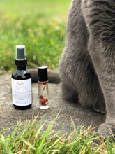 Load image into Gallery viewer, Pet Safe Tick & Bug Repellent