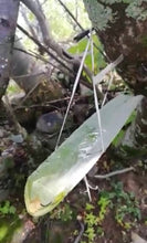 Load image into Gallery viewer, Incense: Copal Blanco (White Copal)