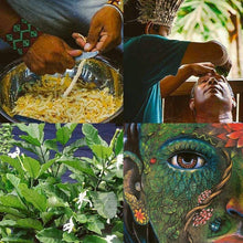 Load image into Gallery viewer, Sananga Drops